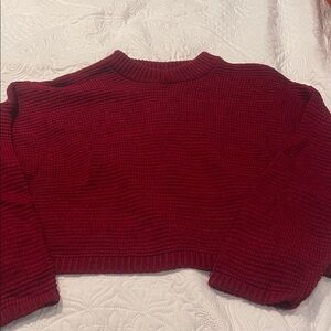 Express Deep Red Crew Neck Sweater